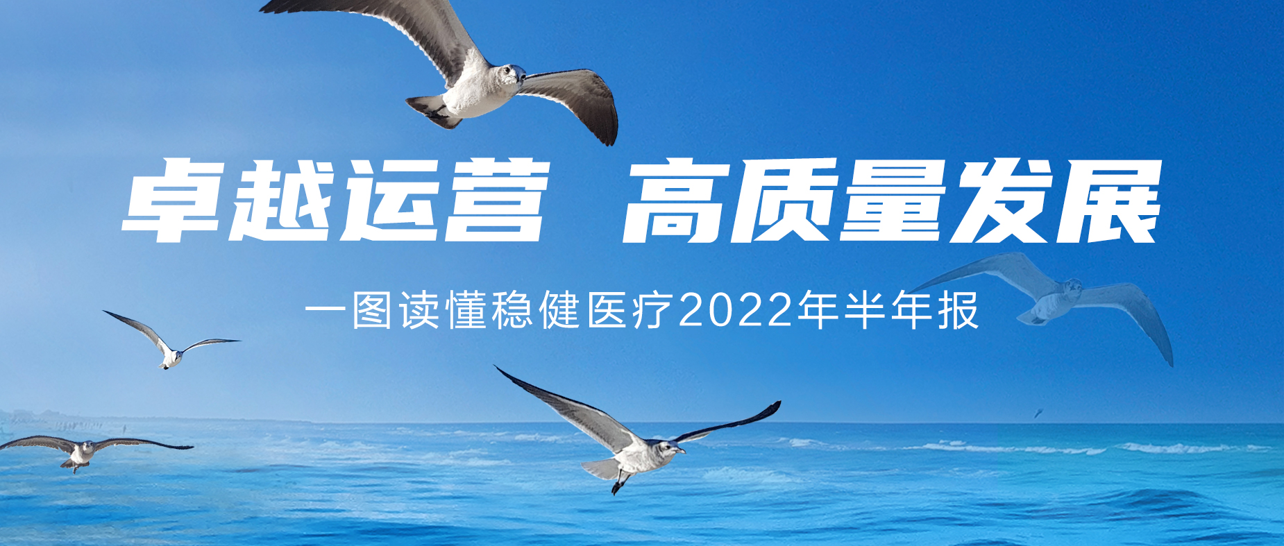 一图读懂尊龙凯时人生就是博医疗2022年半年报